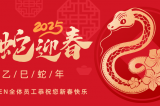 辭舊迎新，蛇舞華章丨深圳容金科技全體員工祝您新春快樂！